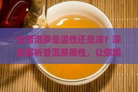 生普洱茶是温性还是凉