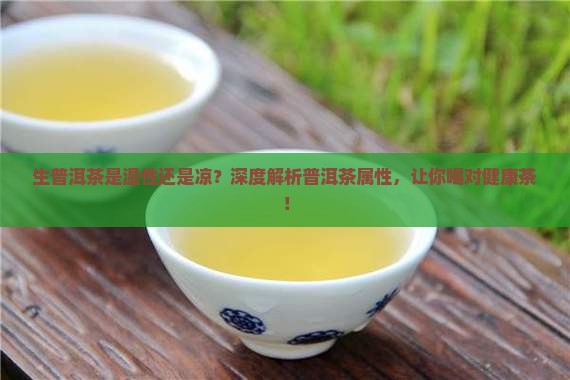 生普洱茶是温性还是凉