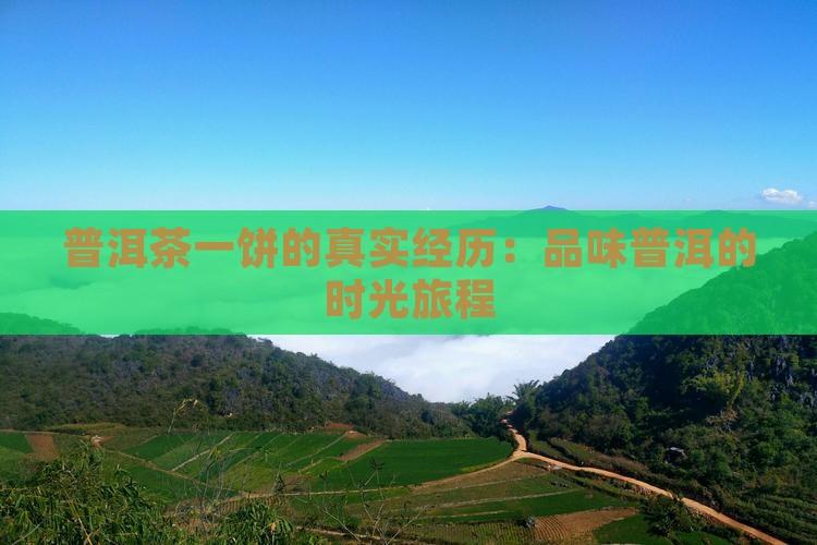 一饼普洱茶的真实经历