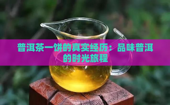 一饼普洱茶的真实经历