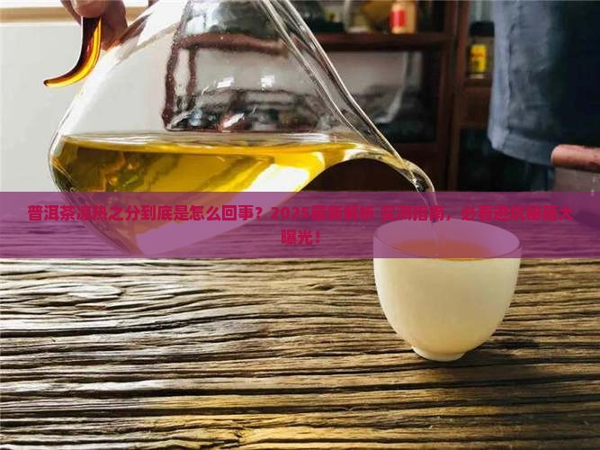 普洱茶的凉热之分是什么