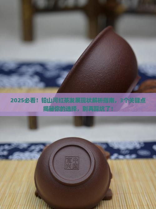 铅山河红茶发展现状