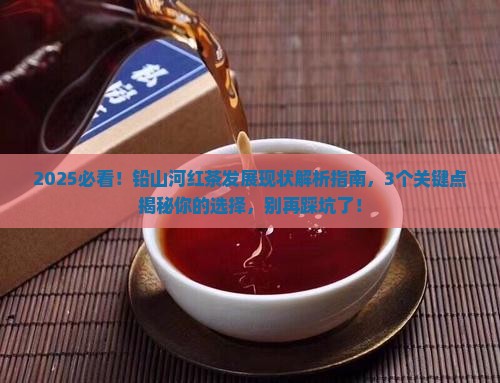 铅山河红茶发展现状