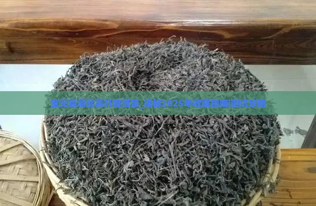 宝元福易武高杆普洱茶