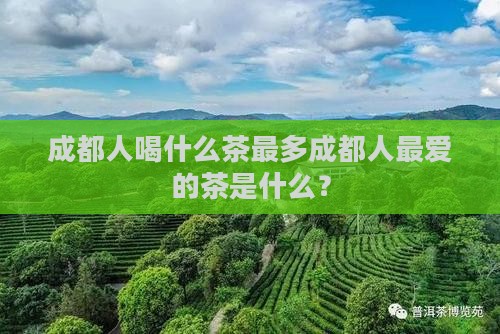 成都人喝什么茶最多