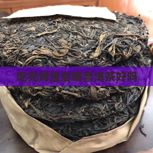 吃完烤鱼喝杯普洱茶好吗