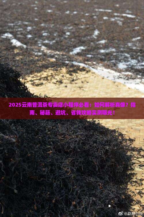 云南普洱茶专卖店小程序