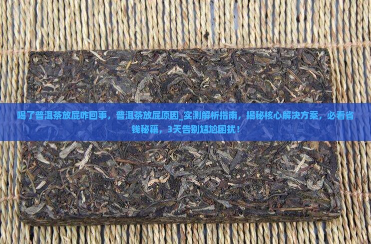 喝了普洱茶放屁咋回事