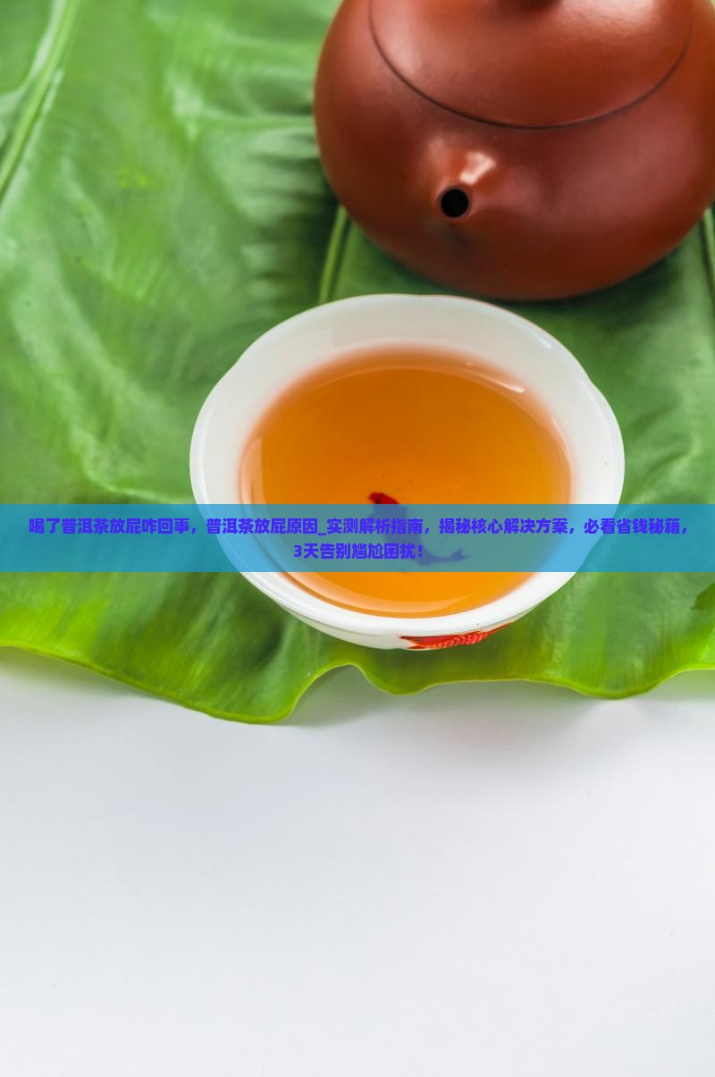 喝了普洱茶放屁咋回事