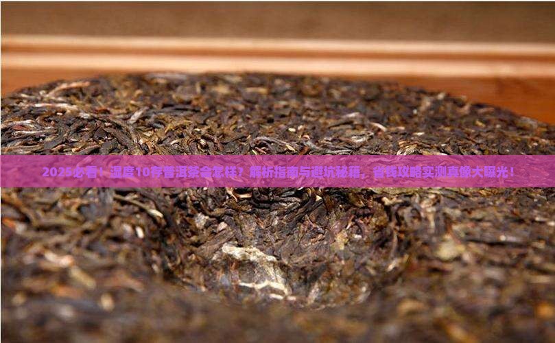 湿度10存普洱茶