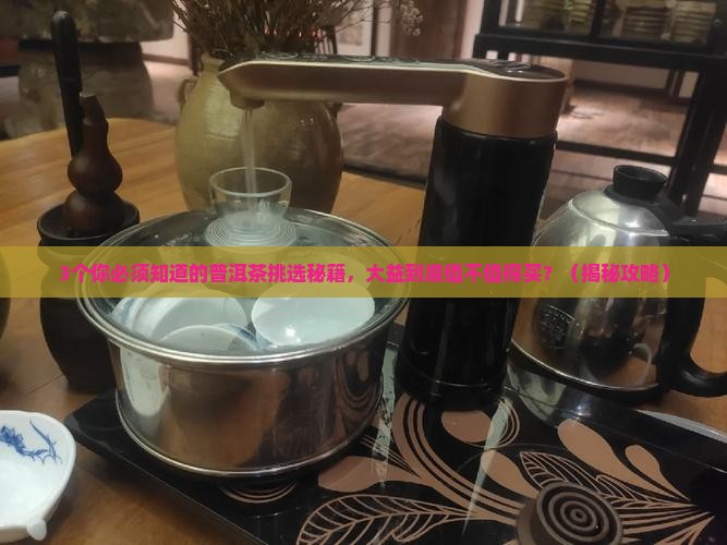 大益普洱茶核心