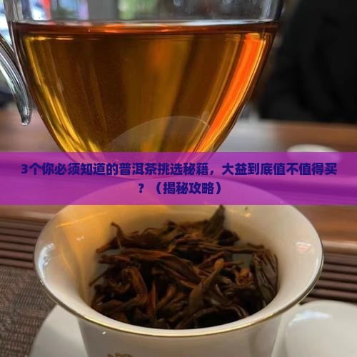 大益普洱茶核心