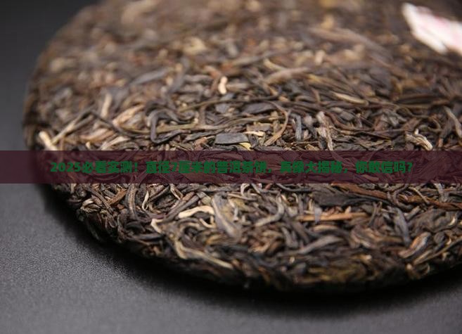 直径约7厘米的普洱茶饼