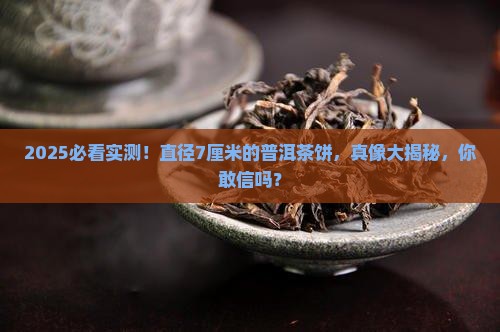 直径约7厘米的普洱茶饼