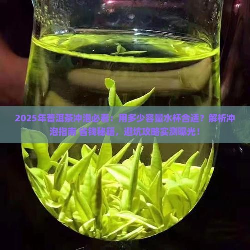普洱茶用多少容量水杯合适
