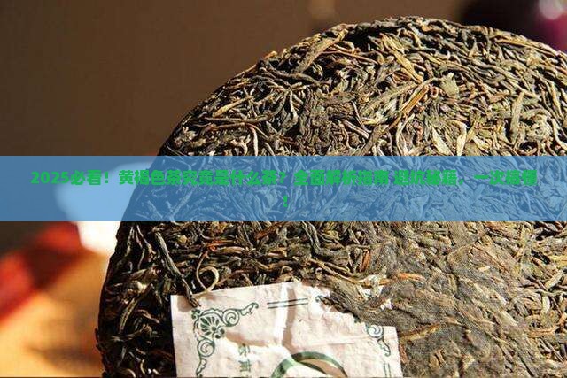黄褐色的茶是什么茶