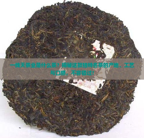 一线天茶业是什么茶