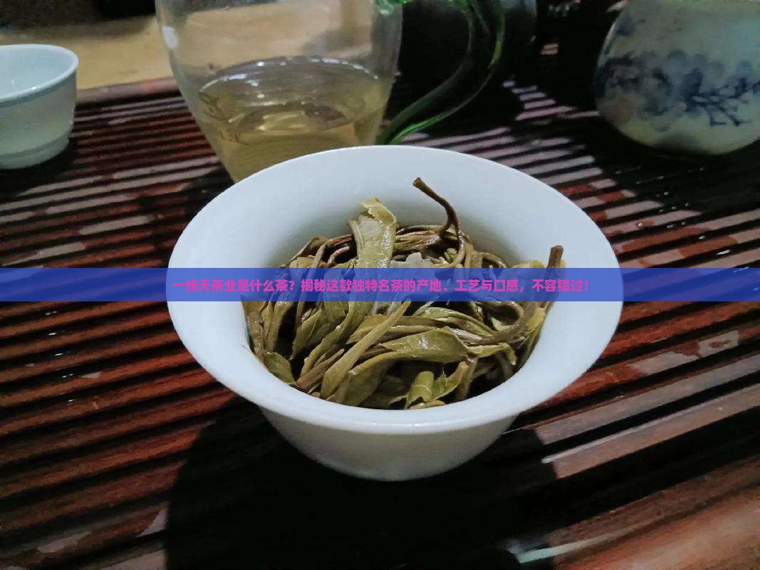 一线天茶业是什么茶