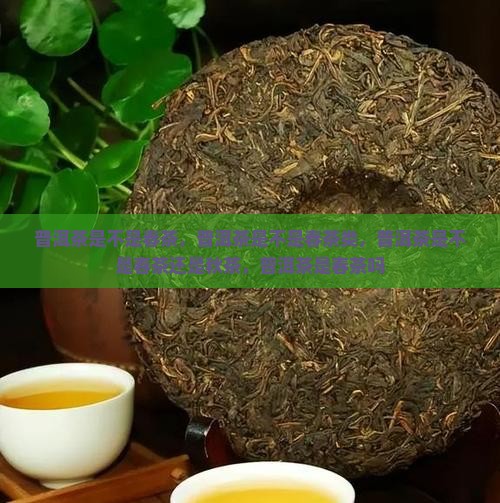 普洱茶是不是春茶