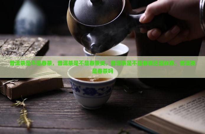 普洱茶是不是春茶