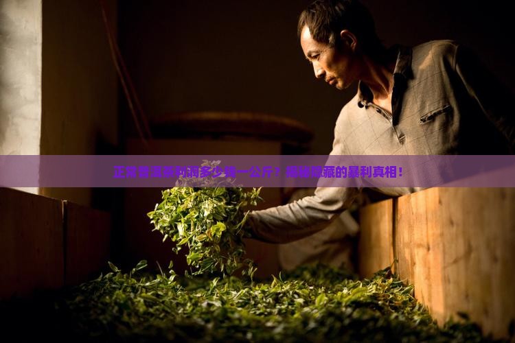 正常普洱茶利润多少钱一公斤
