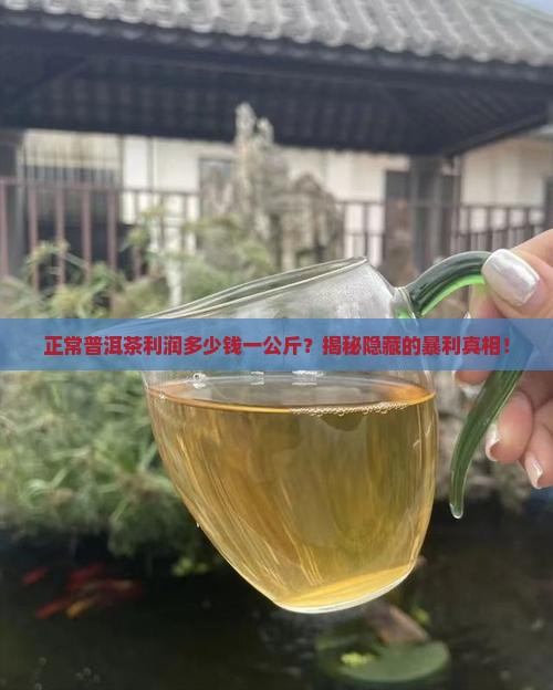 正常普洱茶利润多少钱一公斤