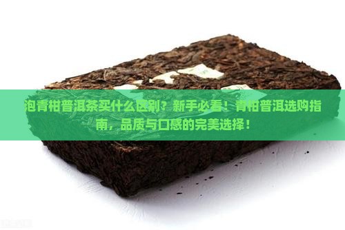 泡青柑普洱茶买什么区别