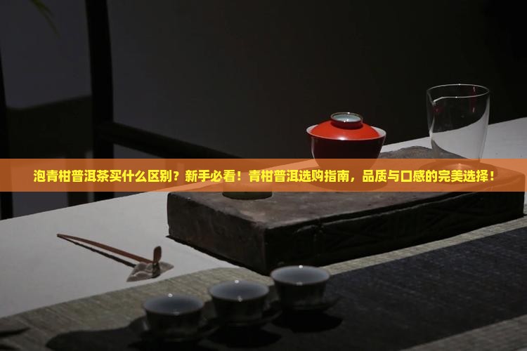 泡青柑普洱茶买什么区别