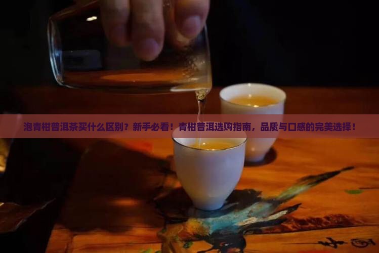 泡青柑普洱茶买什么区别