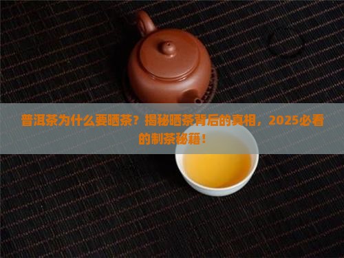 普洱茶为什么要晒茶 普洱茶为什么要晒茶