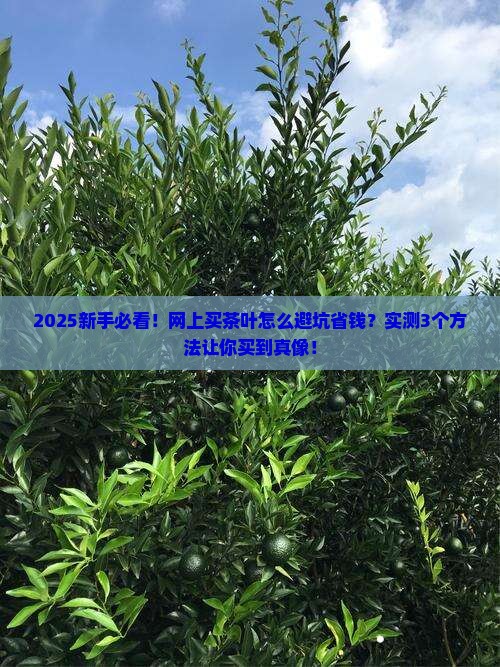 网上么样买到性价比高的茶叶