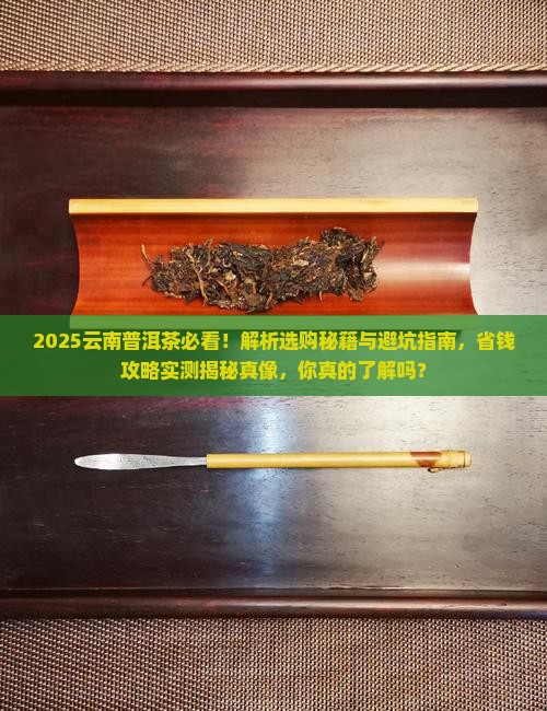 远方的家云南普洱茶