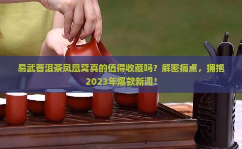 易武普洱茶凤凰窝