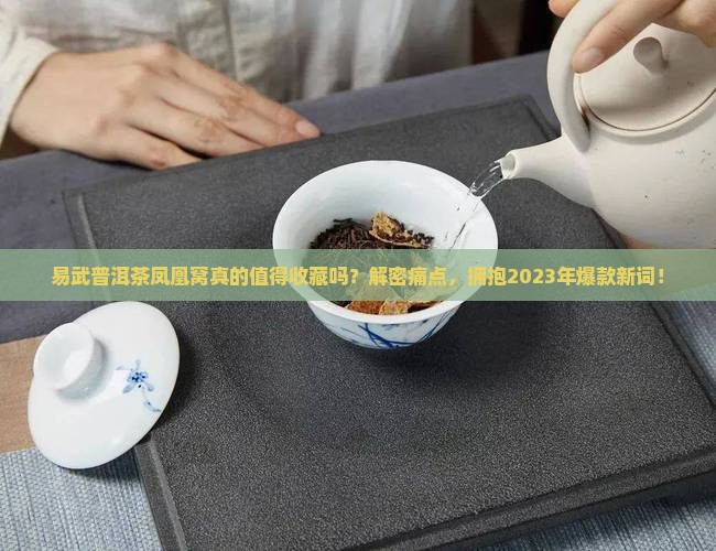 易武普洱茶凤凰窝