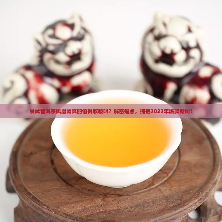 易武普洱茶凤凰窝