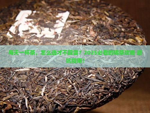 适合每天喝的茶有哪些
