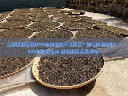土林凤凰普洱茶99年