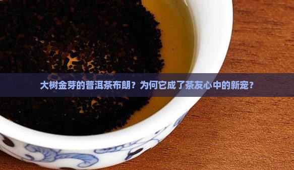 大树金芽的普洱茶布朗