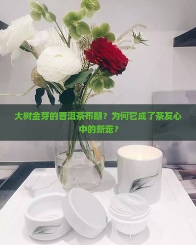 大树金芽的普洱茶布朗