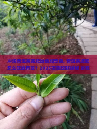 冲泡普洱茶减肥运动加饮食