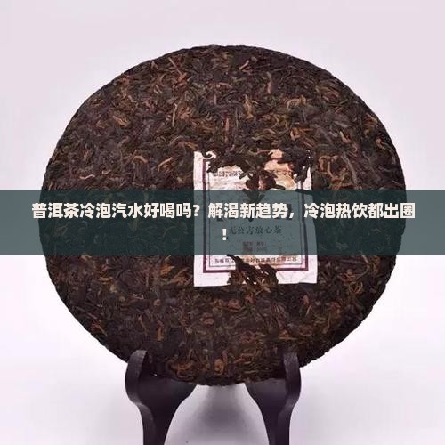 普洱茶冷泡汽水好喝吗