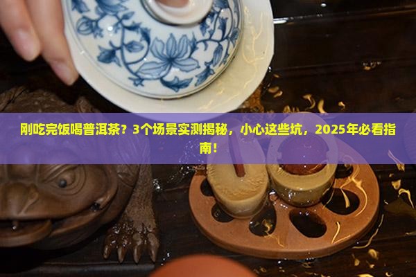 刚吃过饭就喝普洱茶好吗