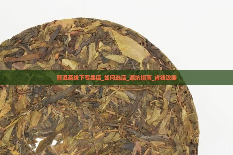 普洱茶线下专卖店