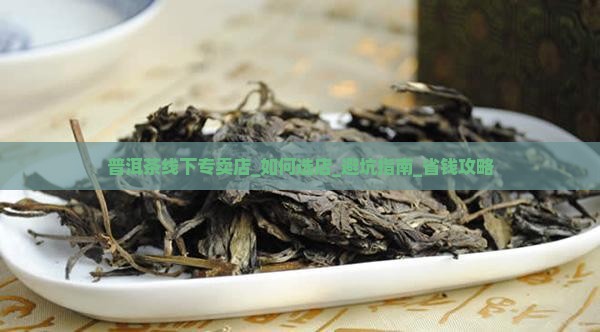 普洱茶线下专卖店