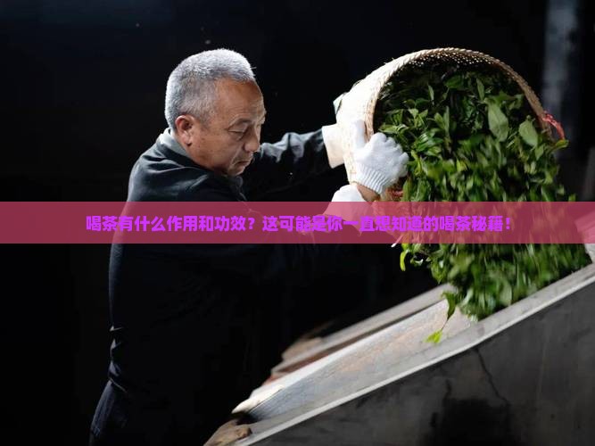 喝茶有什么作用和功效