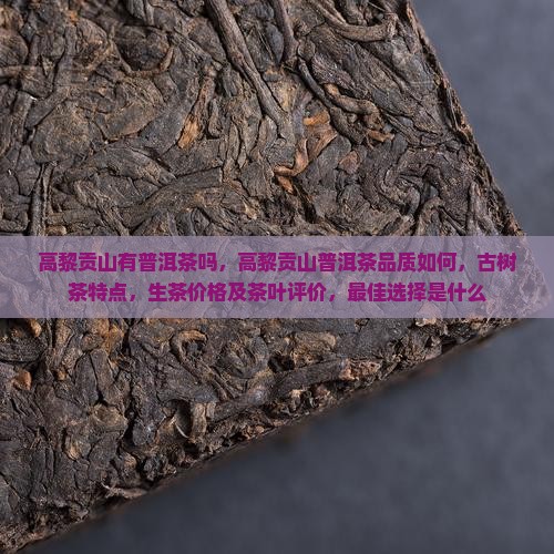 高黎贡山有普洱茶吗