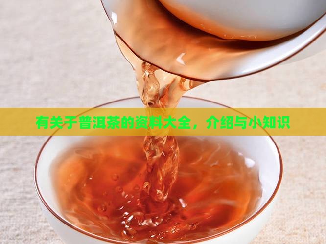 有关于普洱茶的资料