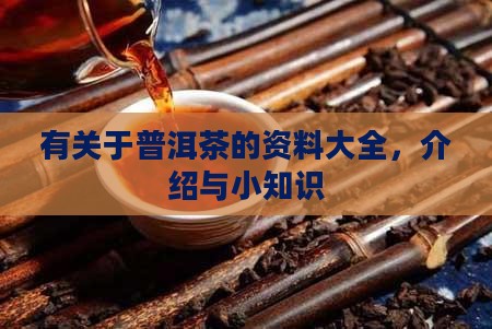 有关于普洱茶的资料
