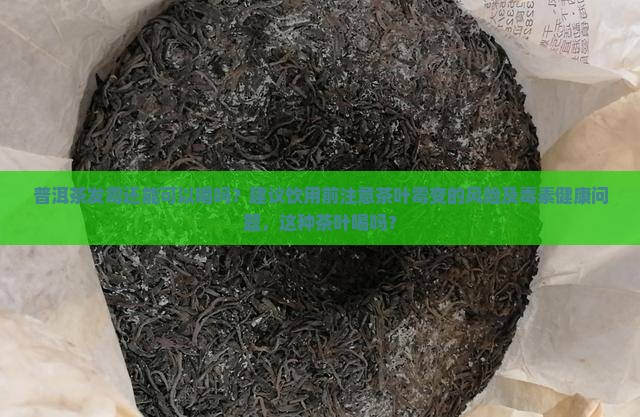 起霉的普洱茶可以喝吗