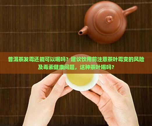 起霉的普洱茶可以喝吗